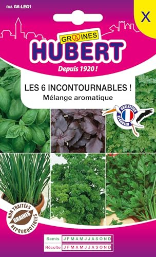 6 Aromatiques Incontournables