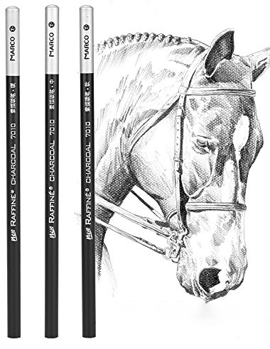 Garosa Lápiz de Carbón Set Profesional Sketching Kit Lápices de Dibujo No Tóxico Herramientas 12pcs Set de Lapices de Dibujo Set de Artista para Bosquejo Para Niños Artistas Principiantes(Neutral)