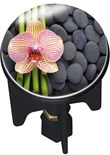 WENKO 20866100 Abfluss-Stopfen Pluggy Stones mit Flower