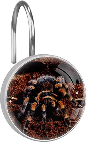12 ganci decorativi per tende da doccia, in acciaio inox, per bagno, tende da doccia, anelli per tende da doccia, ragno rosso messicano