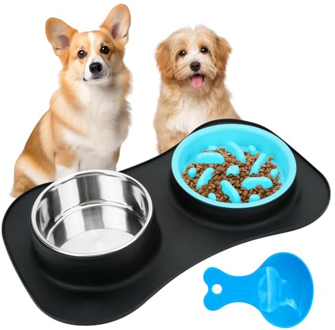 QUMENEY Juego de comedero doble antideslizante para perros y agua, comedero lento, cuenco de acero inoxidable con 1 cuchara de alimentación para perros, gatos y cachorros (negro)