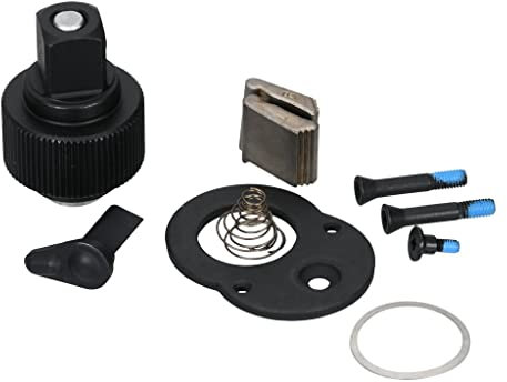 SW-Stahl 05890L-REP Reparatursatz Ratschenmechanismus I für Umschaltknarre 05890L I 3/8 Zoll Ratsche