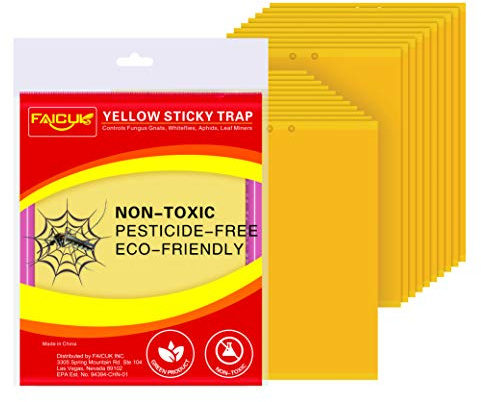 Faicuk 20 Pack Dual Sided Yellow Sticky Traps for Flying Plant Insect Like Fungus Gnats, Aphids, Whiteflies, Leafminers (6x8 Inches, Twist Ties Included)