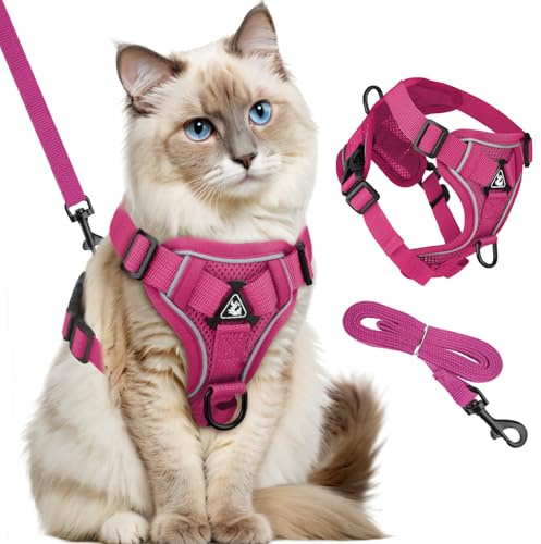GlasFlength Pettorina per gatti con guinzaglio, antieruzione, guinzaglio per gatti con imbracatura regolabile set di stoviglie morbide per gatt i con strisce riflettenti (caffè L)