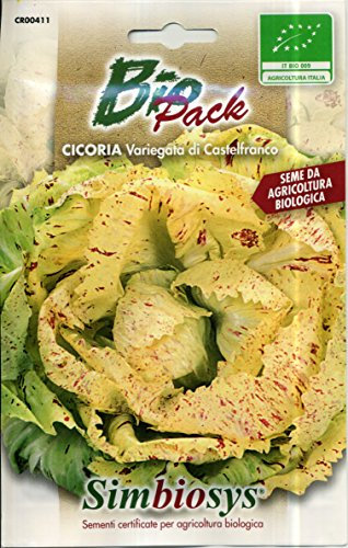 L'ORTOLANO Sementi Biologiche Per Ortaggi In Bustina Ad Uso Amatoriale (Cicoria Di Castelfranco)