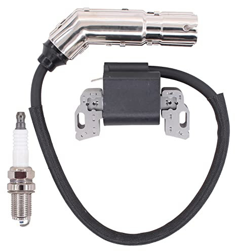 Doo Engy Zündspule und Zündkerze für Briggs & Stratton 595304 795315 799650 592841 Rasenmäher