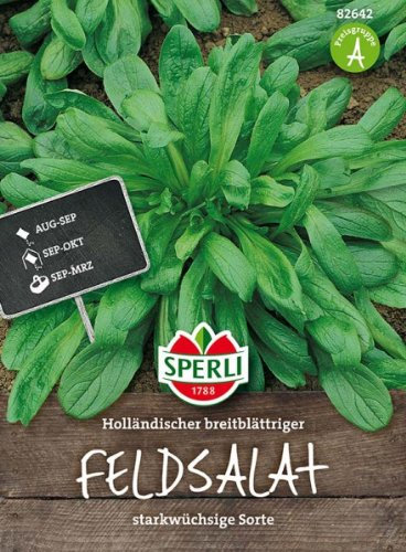 Feldsalat Holländischer breitblättriger