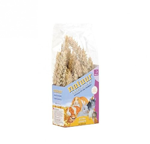 Dreambox Esve Snack Nature Ear of Wheat Rodents 90 g