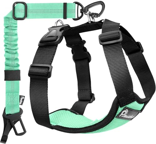 Pawaboo Cintura di Sicurezza per Cani da Auto,Imbracatura Cani Auto con Doppia Clip,Giubbotto Traspirante Regolabile&Cinghia Sicurezza con Elastico per Animali Piccola,Media,Grande, XL, Azzurro + Nero