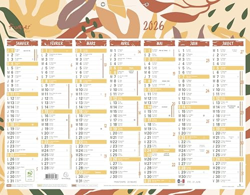 Exacompta - 34204E - Calendario Forever riciclato - 33,5 x 43 cm - 7 mesi per faccia - gennaio 2025 a gennaio 2026