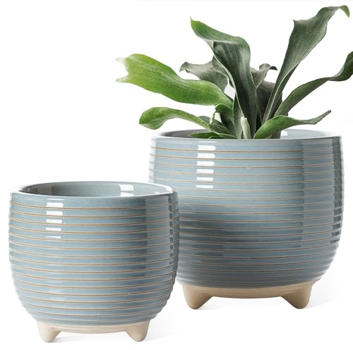 LE TAUCI - Vasi per piante in ceramica, vasi con piedistallo da 13 + 16,2 cm per piante, vasi da fiori moderni per casa e ufficio, vasi da interno con drenaggio, smalto reattivo grigio