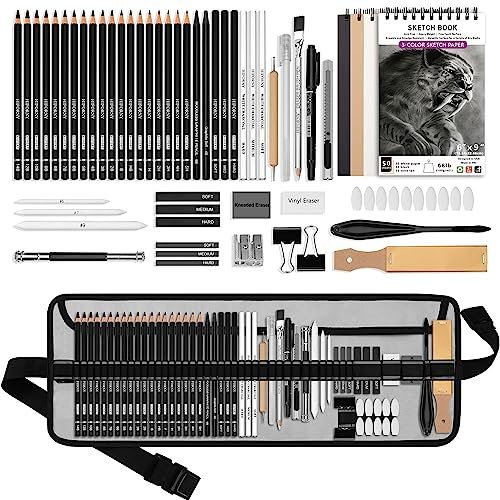 HIFORNY 60-teiliges Zeichen-Set, Skizzierstifte, Kunstzubehör mit 3-farbigem Skizzenbuch, Graphit, Kohle, Zeichenstifte für Erwachsene, Künstler, Kunststifte
