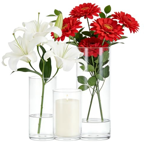 Set di 3 Vasi Cilindrici in Vetro Borosilicato,Vasi in Vetro per Candele, Rotondo Moderno Caso,Vaso Vetro Trasparente per Composizioni Floreali,Matrimoni e Decorazioni Fai da Te,6,5x15/8,5x20/10x25 cm