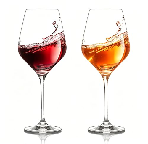 ZoneYan Calici Plastica Rigida Lavabili, 2 Pezzi Calici Vino Plastica 420ml, Bicchieri Plastica Rigida Lavabili, in Tritan, BPA-Free, Bicchieri Vino Rosso, Vino Bianco (A)