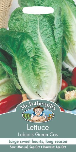 Mr Fothergill's 16416 Vegetable Seeds, Lettuce Lobjoits Green Cos