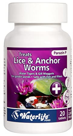 Waterlife Parazin 'P' 20Tabs