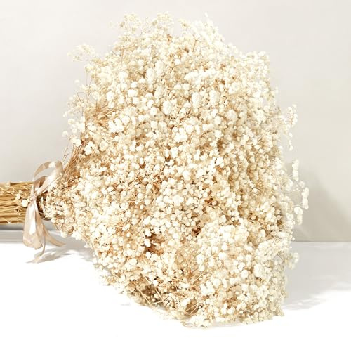 KAOHONG Ramo de Flores secas Naturales Gypsophila Paniculata , 43cm, 7000+ Flores Blanco Marfil, Ramas Naturales de Gypsophila para Corona de Bricolaje, hogar, Boda, Mesa, decoración de jarrón