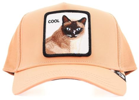 Goorin Bros. Coole Katze, Aprikose, grau, One size
