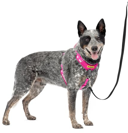 PetSafe Easy Walk Comfort No-Pull Dog Harness Full-Body Padding - Better Walks on the First Use - 5 Points of Adjustment Medium/Large, Pink