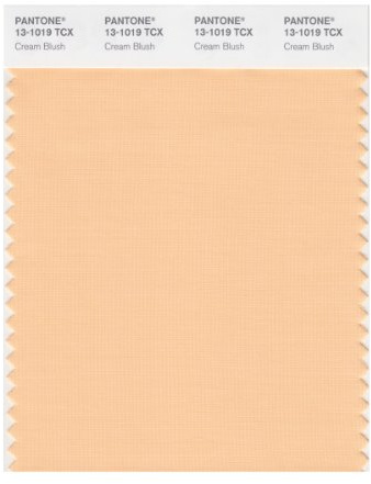 PANTONE Smart 13-1019X Color Swatch Card, Cream Blush