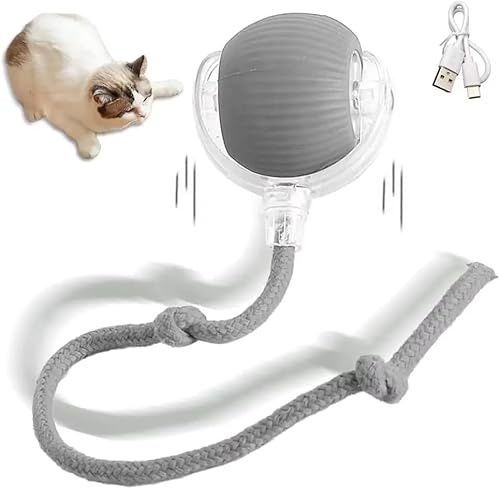 Hardware Tribe Automatisk rullboll, rullboll för katter och hundar, automatisk tuggboll, för katter och hundar, uppladdningsbar elektrisk boll för katt, interaktiv kattboll