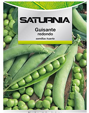 Graines de petits pois