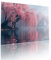 Arbre Puzzle Adulte 3000 pièces Educa Puzzles Classiques Impossible Lac Je m'emmerdais Qualité Supérieure Mystery Challenge, Toy Avec Inclure Colle, Pour Adultes et Enfants Jeu éducatif 81x122cm t-893
