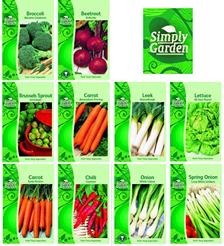 Vegetable Seed Collection 10 Varieties Beetroot Brussels Broccoli Carrot Chilli Leek Onion Grow Your Own Veg