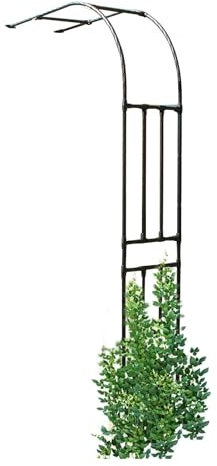 Tonnelles de Jardin Tonnelle de Jardin en métal Noir Arc Demi-latéral Large 60 90 120 150 180 220 240 cm Treillis de Pergola pour Plantes grimpantes Supports de Fleurs(90x240x40CM/3.0x7.9x1.3ft)
