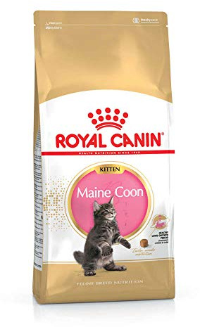 Royal CANIN Maine Coon Kitten ALIMENTO SECO Para Gatos GATITO Aves, ARROZ 400 G