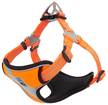 TRUE LOVE Dog Harness TLH5991 Anti Pull Safety Vest Step-in Style Harness for More Comfort and Less Tug Reflective Pet Harness by Truelove