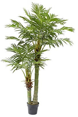 kunstpflanzen-discount.com Areca Kunstpalme 170cm hoch mit 33 Palmwedel im Zementtopf - Künstliche Areca Palme mit 2 Palmkronen und Stämmen