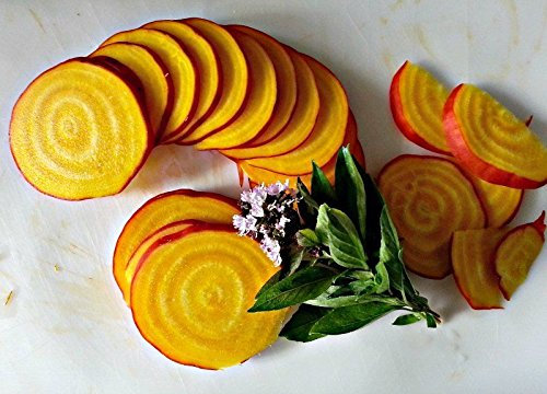 50 Golden Detroit betterave Graines Heirloom 2018 (Tous les non-OGM semences de légumes!)