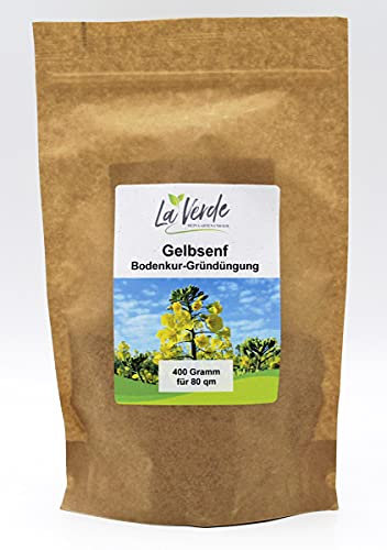 Gelbsenf 400 Gramm Samen Bodenkur