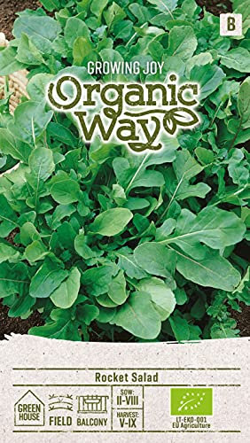 Organic Way | RUCOLA GARTEN-SENFRAUKE samen | Gemüsesamen | Salatsamen | Pflegeleichte und zudem schnellwachsende Salatsorte | 1 Pack