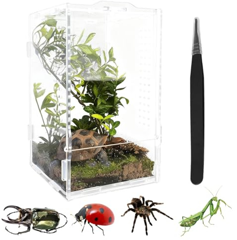 Terrarium 12 x 12 x 20 cm, Acrylic Terrarium with Complete Set Including Feed Tweezers and Pipette for Jumping Spiders, Snails, Reptiles, Insects as Vivarium or Faunarium
