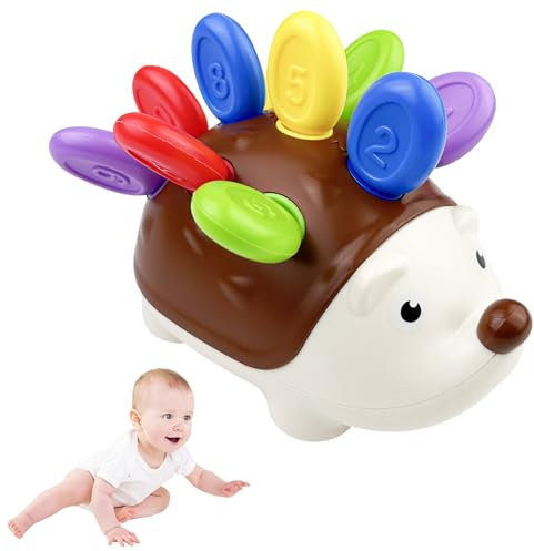 Fervalyna Motorikspielzeug ab 18 Monate, Igel Montessori Spielzeug, Geschenke für Kinder Jungen Mädchen ab 2 3 Jahr, Steckspiel Feinmotorik, Lernspielzeug Trainiert Hand Auge Koordination