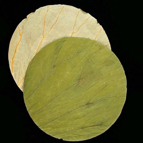 FUPOHUA Frutta secca pressata, Foglie di Loto essiccate, Dischi per Cucina all'aperto, Vassoio per Cibo, Riso glutinoso, Pollo, Cucina, 50 Pezzi