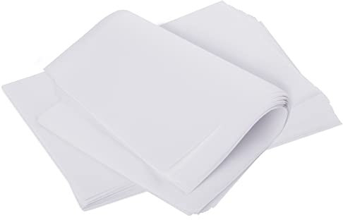 GeeRic Baking Sheet,Premium Baking Paper,100 Stück 20 x 30 cm Küchenpergamentpapier-Backblätter,antihaftbeschichtetes Backpapier zum Backen von Keksen, Brot, Fleisch, Pizza