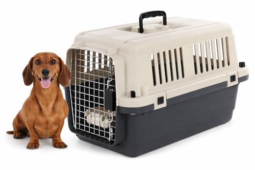 Cage pour Chien - Cage de Transport Chien - Flamingo Fomad Gris foncé - S 40 x 61 x 41 cm - Plastique Robuste - Porte métallique - verrou de sécurité - poignée - gamelle Amovible