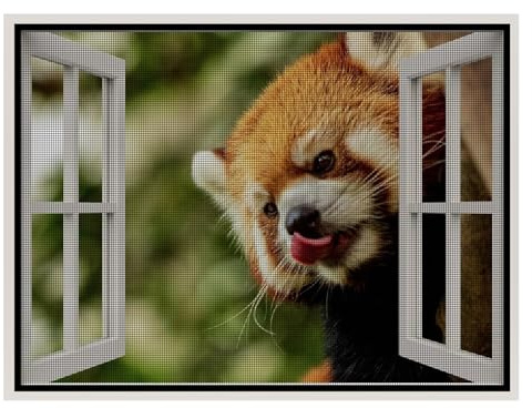 Toile Moustiquaire Anti-Insectes Moustiques, Noir 70x165cm Terrasse Porte Moustiquaire Maille Anti Moustique Mouche Puissants pour Portes, Patio, Entrée Intérieur