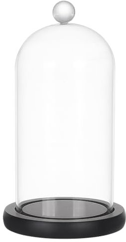 PH PandaHall Cúpula transparente para campana y plantas, cúpula de cristal con base negra, para exposición navideña, 21 x 11 cm