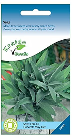 Sage Herb 200 Seeds Salvia Officinalis, Grow Your Own Herb Garden Indoors on a Windowsill or Outdoors in Pots and Containers