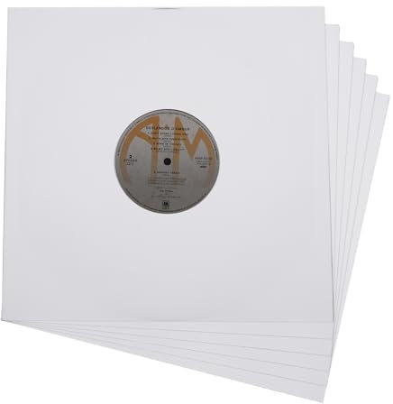 20 custodie interne per dischi in vinile, in carta resistente, senza acidi, quadrate, in carta kraft bianca, con foro per album LP (30,5 cm)