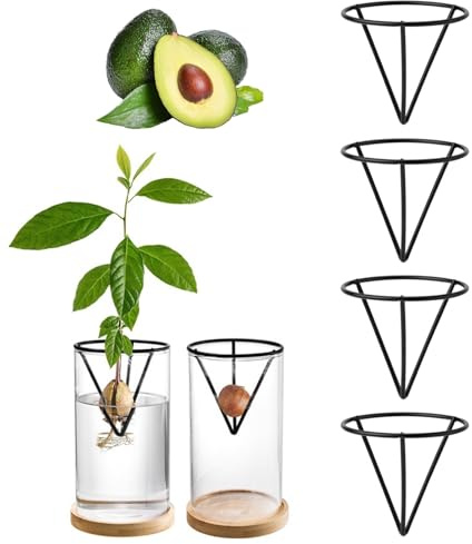 Kit di coltivazione di avocado, 4 pezzi, supporto professionale per semi di avocado, staffa triangolare in metallo, per uomini e donne, amanti del giardinaggio, decorazione da tavolo per casa e