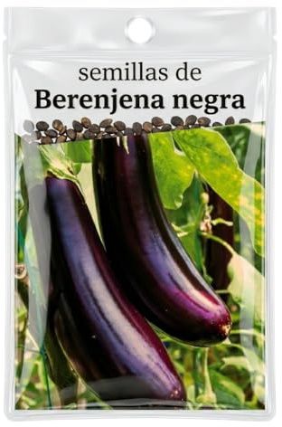 Berenjena Negra para Huerto Urbano – Semillas DECOALIVE Adaptadas a Clima Cálido y Luz Solar