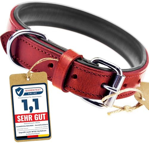 Schnüffelfreunde Halsband für Hunde aus Leder, Hundehalsband für den großen, mittleren und kleinen Hund, Lederhalsband gepolstert, robust (L - 36-45cm, Rot)