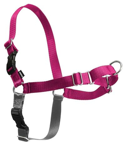 PetSafe Easy Walk Harness for Dogs - Pull-Free Walks - Patented Martingale Loop Design - Front Chest Leash Attachment - Comfort Straps - Breathable Harness Design - Large, Raspberry/Gray