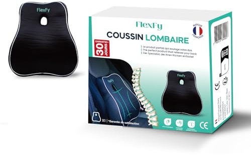 Coussin Lombaire Ergonomique épais en Mousse à Mémoire de Forme - Bon Maintien du Dos pour soulager la Posture & Douleur Lombaire - pour Siège de Bureau, canapé- Voiture- siège Gaming -Housse Lavable