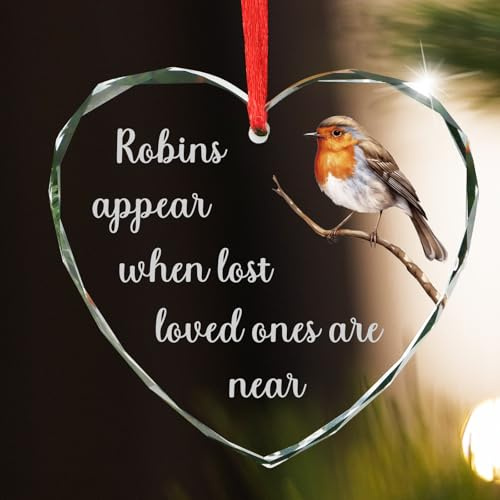 Robin Memorial Remembrance Bereavement Gift Heart Hanging Plaque Robins Appear When Lost Loved Ones are Near Christmas Tree Hanging Ornament Grave Decorations